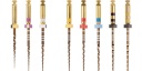 LIME PROTAPER ASSORTIMENT GOLD 25MM ROGIN